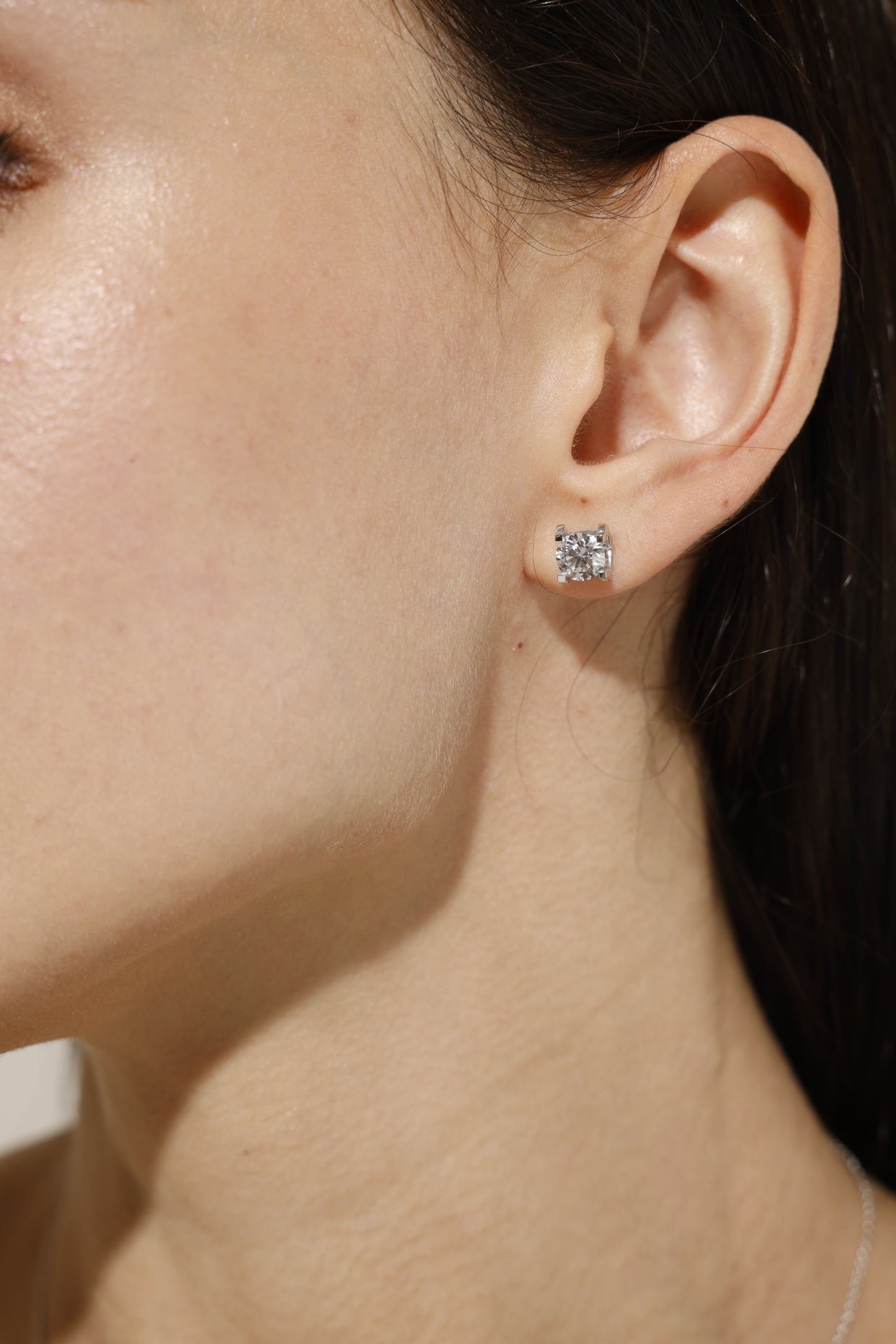 Bull Head Earrings
